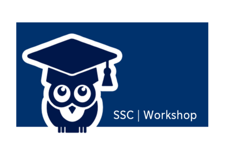 Towards entry "SSC Workshop: Learning Techniques July 02, 2024 (English)"